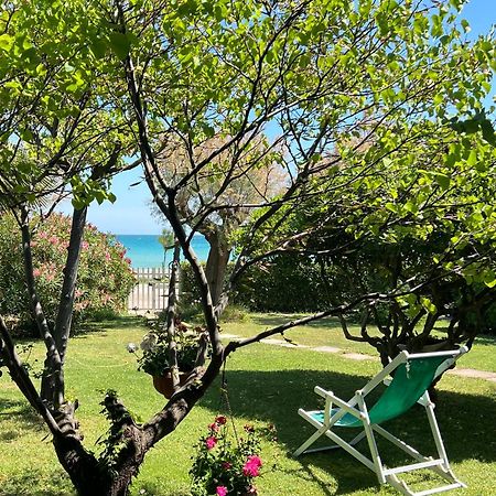 B&B I Versi Del Mare Roseto degli Abruzzi Kültér fotó