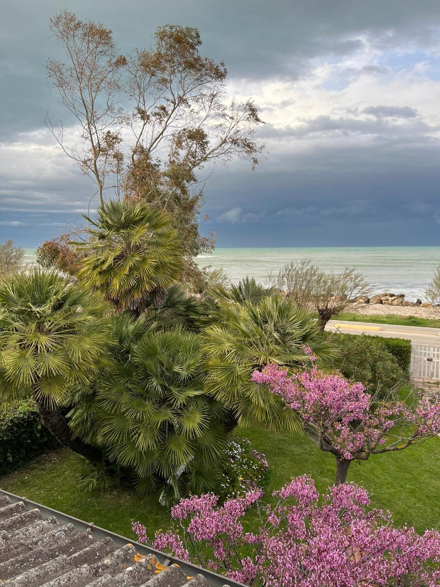B&B I Versi Del Mare Roseto degli Abruzzi Kültér fotó